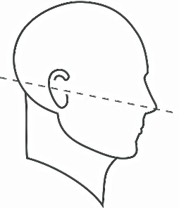 Healthy orientation of the head and an elongated neck characterizes the posture of all of the women, above